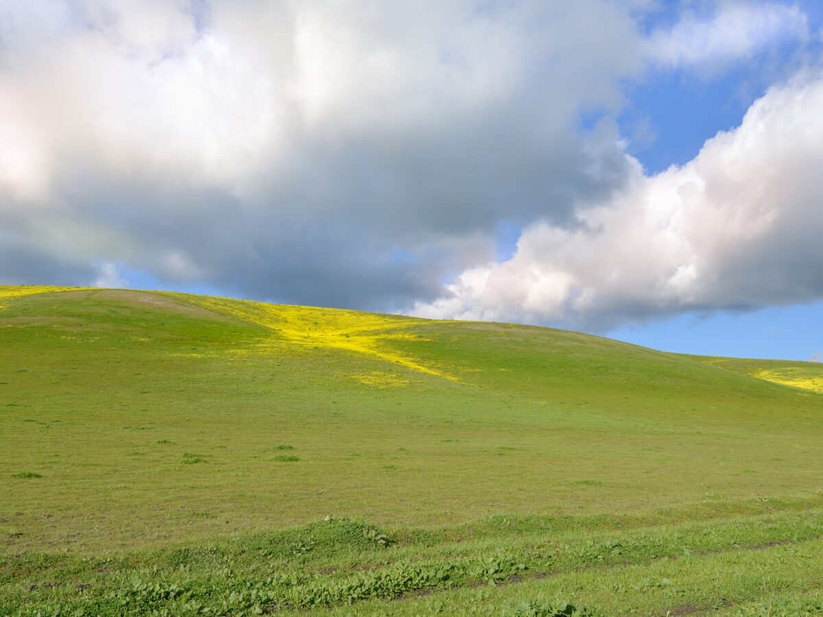 35 Acres of Wide-Open Ranch Land on Byerly Lane